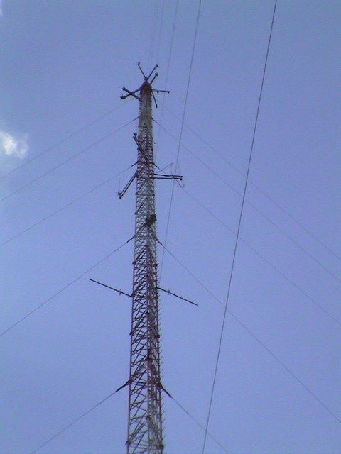 GeorgeWestSite 020