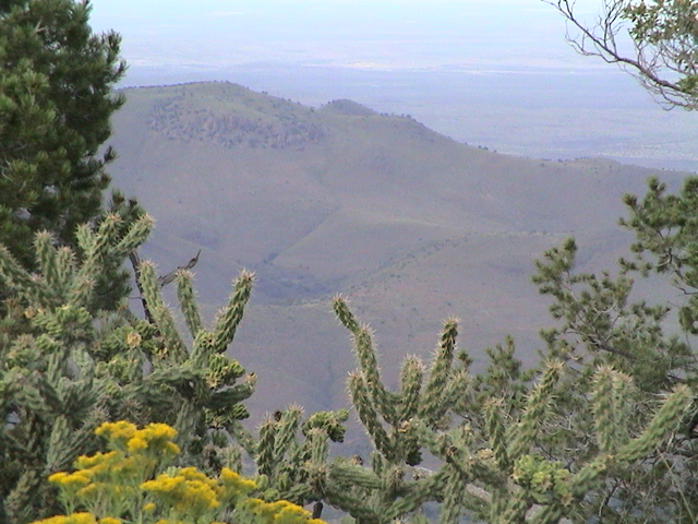 Mt McElroy 178